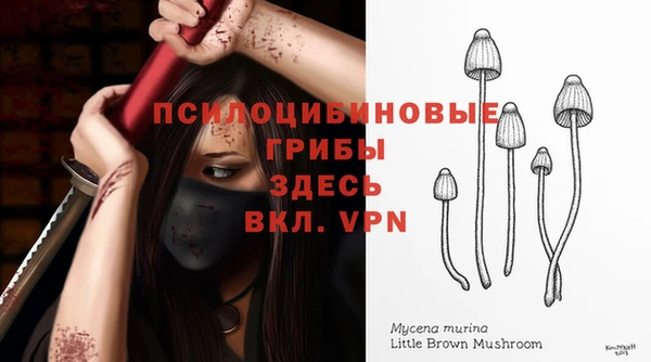 гидропоника Богданович
