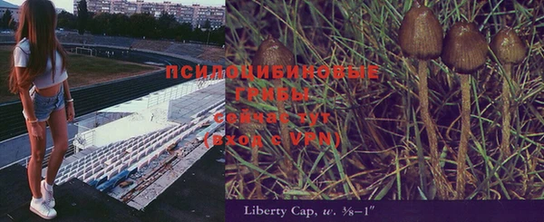гидропоника Богданович