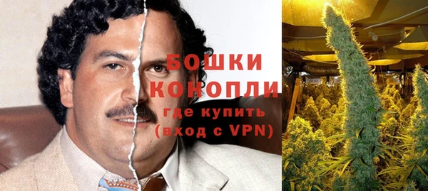 гидропоника Богданович