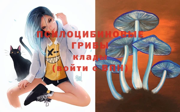 гидропоника Богданович