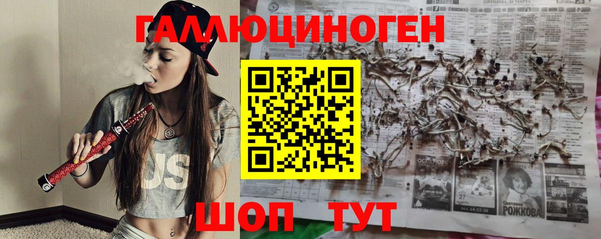 Псилоцибиновые грибы Psilocybine cubensis  Вичуга  Галлюциногенные грибы прущие грибы 