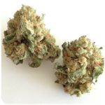 Шишки "White Widow"  (Белая вдова)  Гидропоника -  Бошка VHQ в Вичуге